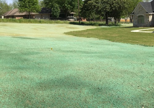 Refresh Your Lawn with Expert Hydroseeding in Auckland